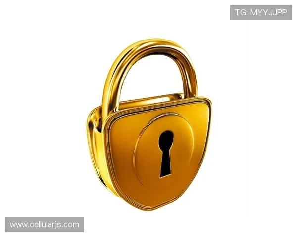 凯时开户安全保障措施解析确保用户资金与信息安全