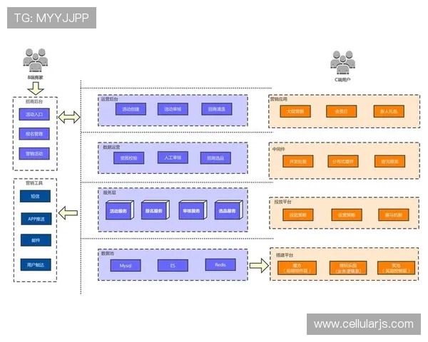 探索尊龙现金d88平台的用户体验与服务质量
