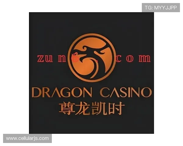 尊龙凯时百家乐官网安全可靠,保障玩家资金与个人信息安全,打造放心的线上娱乐体验