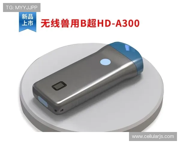 认识尊龙凯时app登录的多种方式，助您轻松进入平台